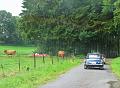 MG DAY 2012 (198)